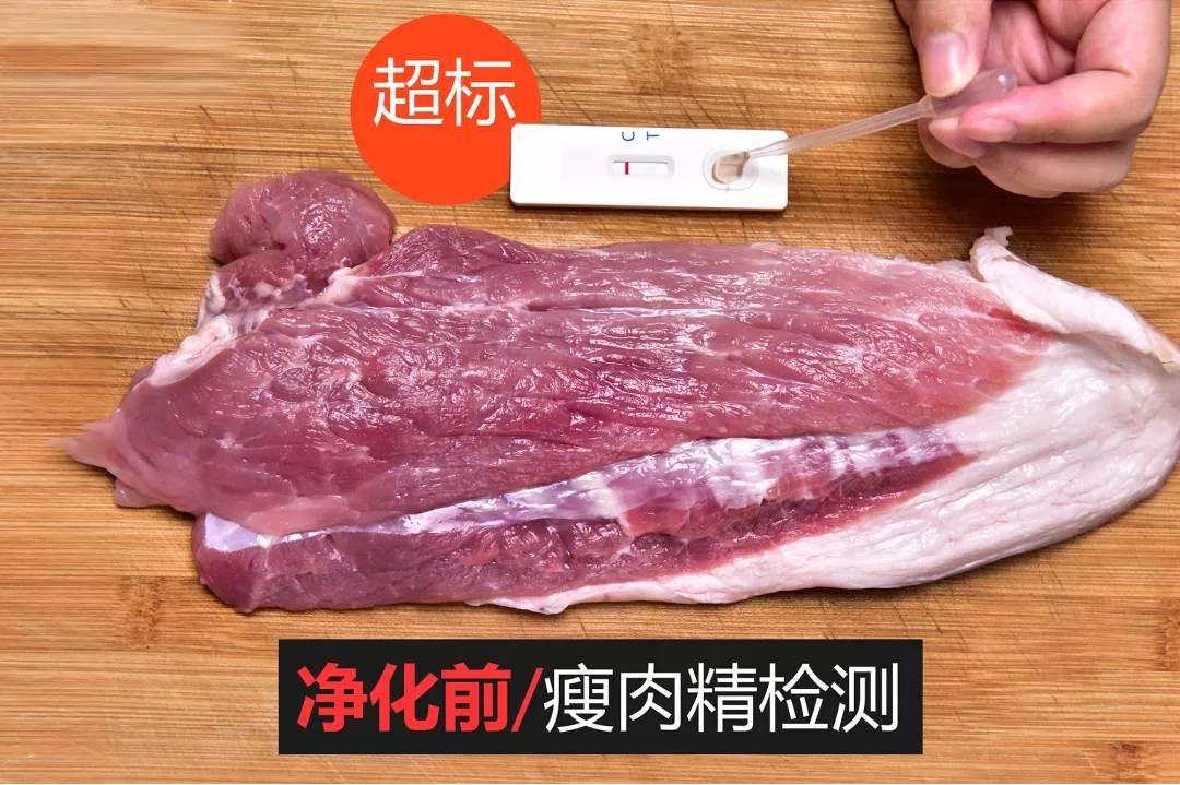 宾果净化机,瘦肉精(盐酸克伦特罗)猪肉样品,瘦肉精快速检测卡